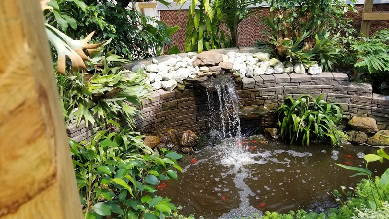 Live Birds, Chickens, Ducks, And A Fish-Filled Covered Bridge