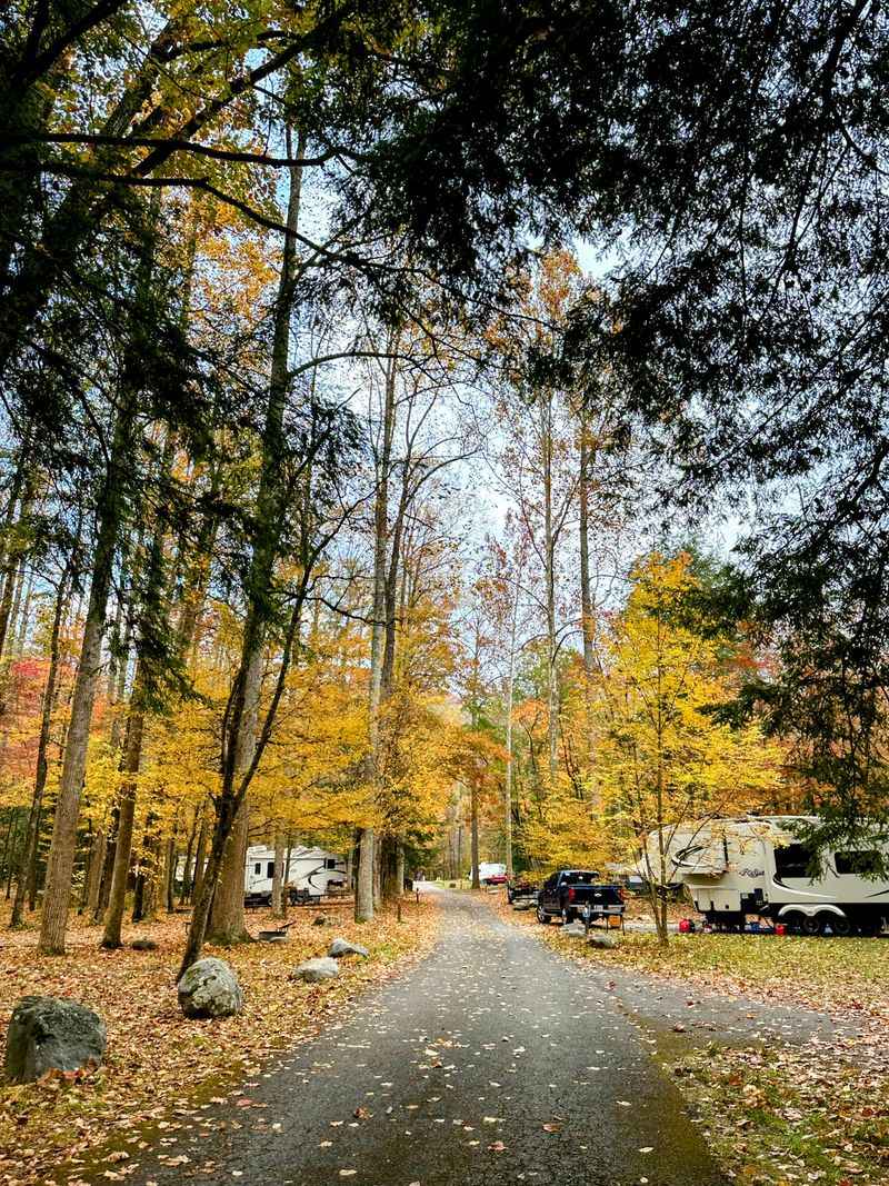 A Restored Row That Still Feels Like A Ghost Town