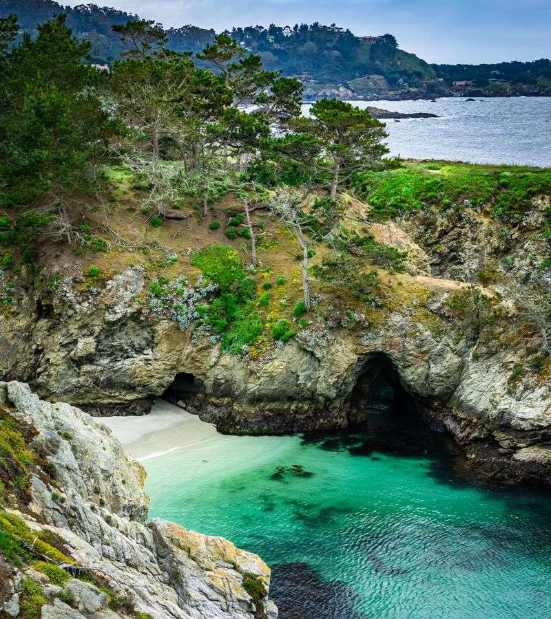 Point Lobos Views That Make The Coast Feel Untouched
