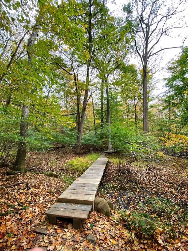 The Memory That Stays With You