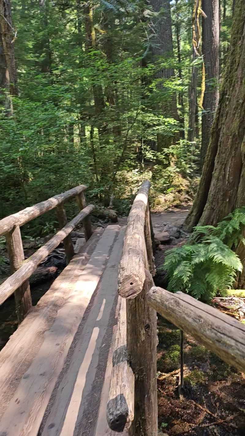 The Wildflower-Lined Trail Sections