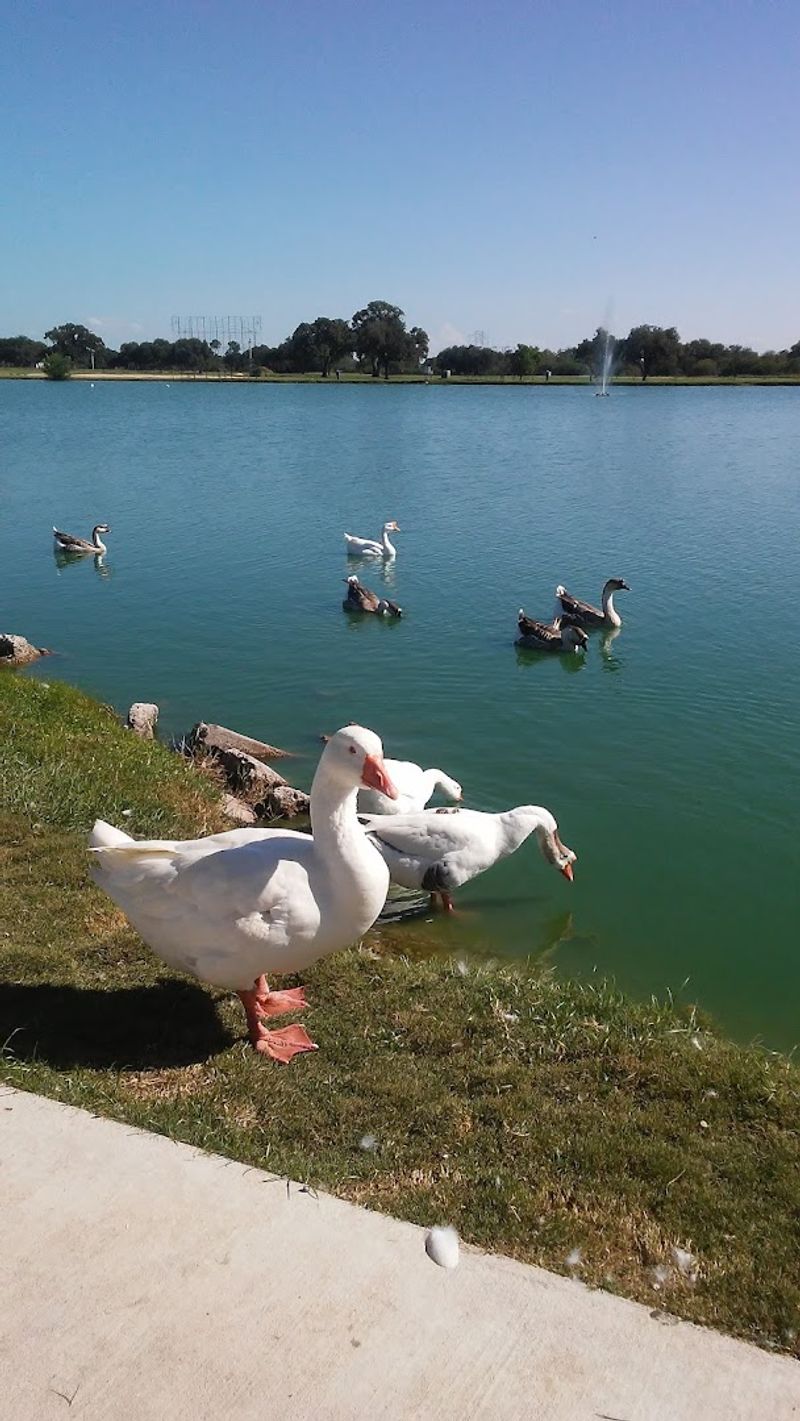 Cuero City Park and Outdoor Spaces