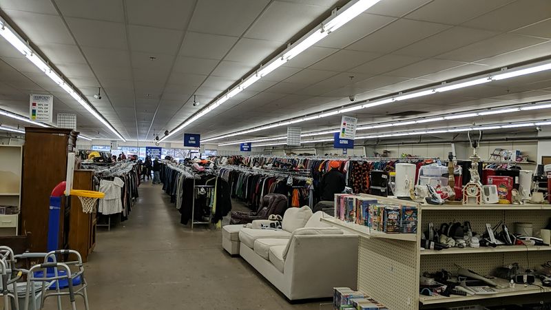 Hunting for Hidden Gems: The Thrill of the Find