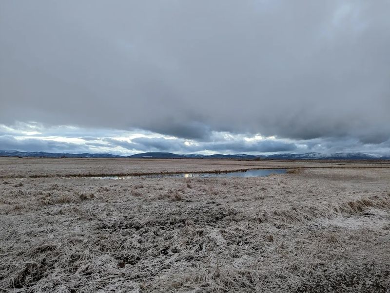 Winter Isn’t A Season, It’s A Personality