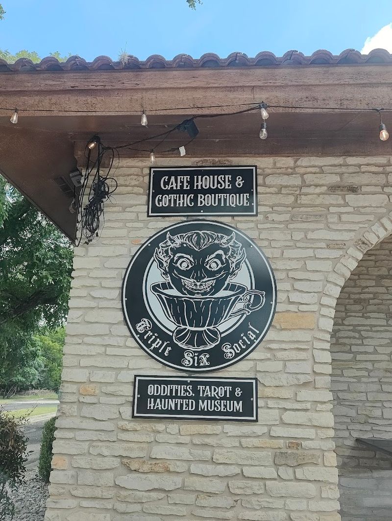 A Dog-Friendly Space That Thinks of Everyone