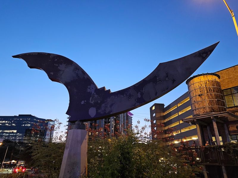 What the Statesman Bat Observation Center Actually Offers