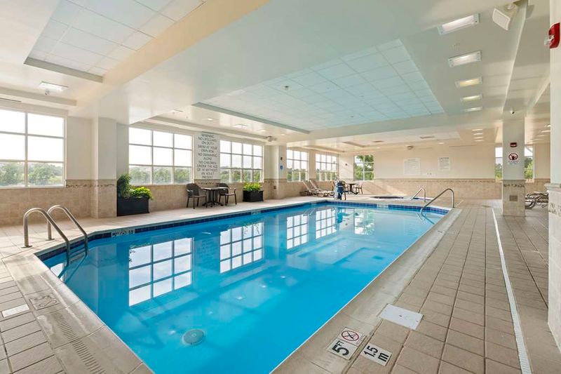 Schnitzel That Rivals Anything in Munich