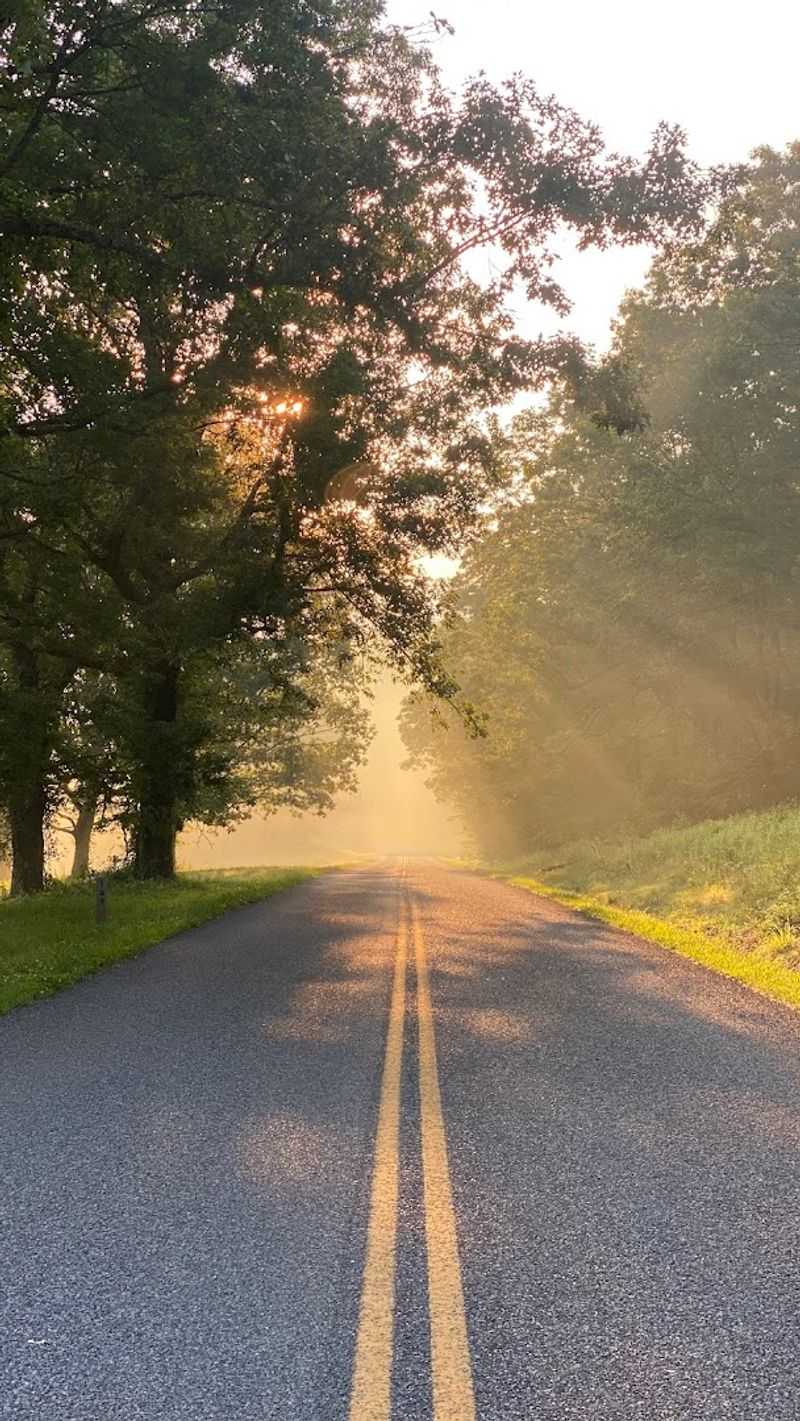 Buffalo Mountain Natural Area Preserve