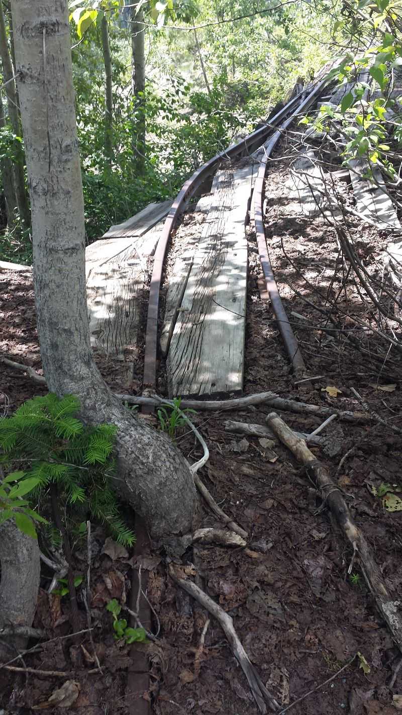 The 1889 Jailhouse and Its Dark Reputation