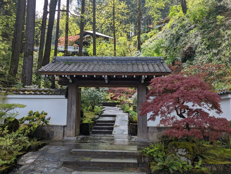 Umami Café Suspended Over the Hillside