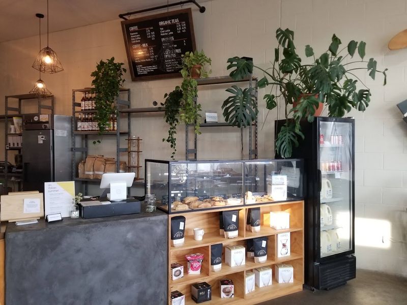 The Little Plant Shop Hiding Inside