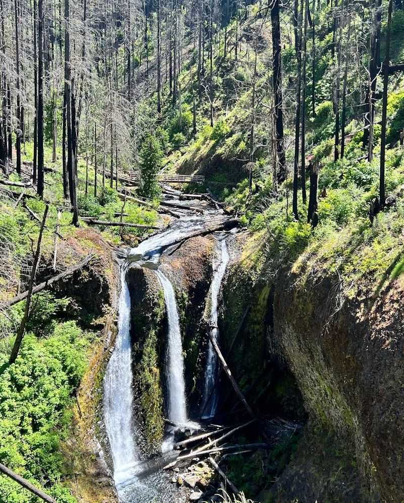 The Upper Trails: Elevation, Views, and Triple Falls