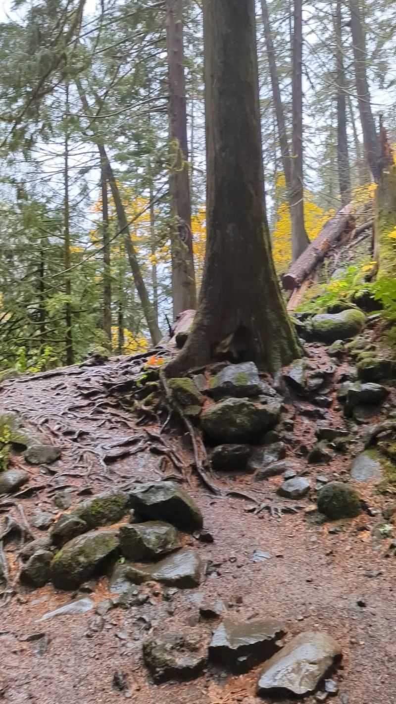 The 12-Mile Round Trip Challenge to Tunnel Falls