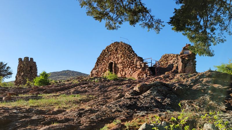 Wildlife Wandering Through Sacred Grounds