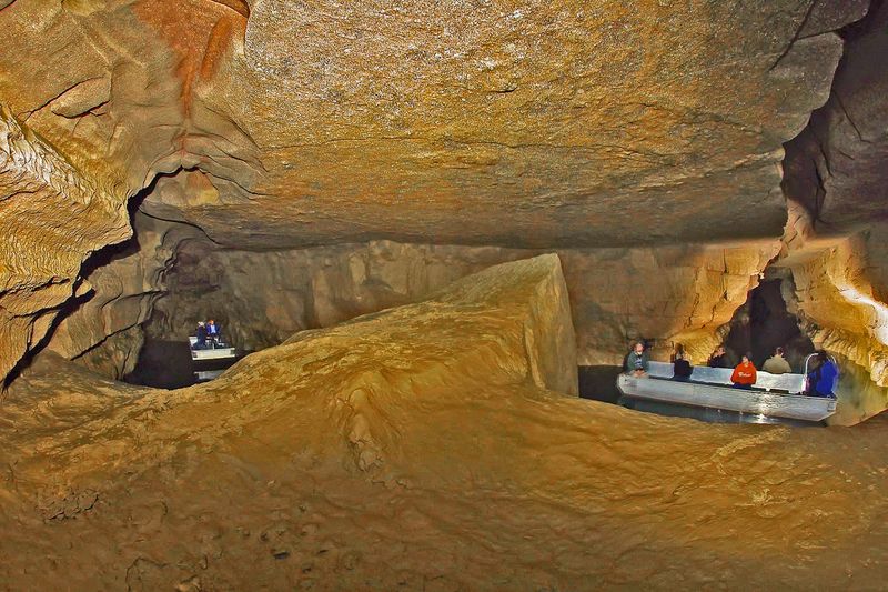 Cave Wildlife Including Blind Fish, Bats, and Crayfish