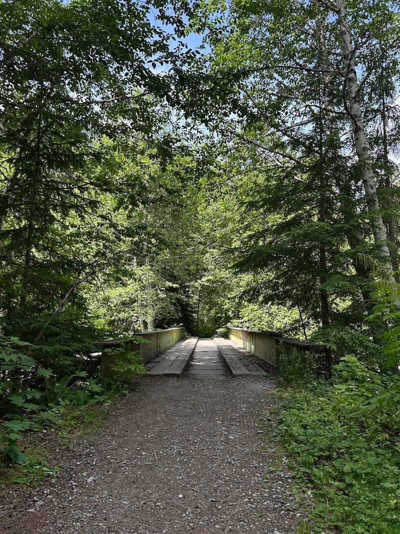 The River And Forest Make Everything Feel More Isolated