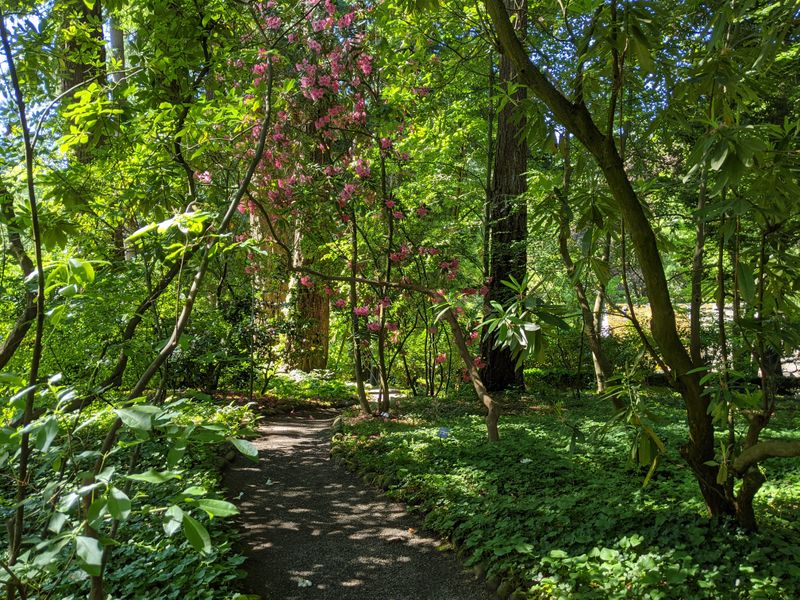 A Plant Collection That Defies Belief