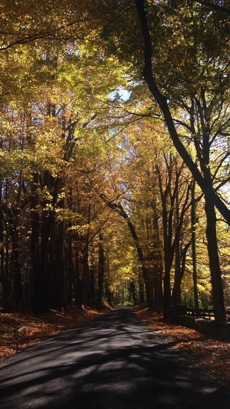 No Traffic Lights or Chain Stores Interrupt the View