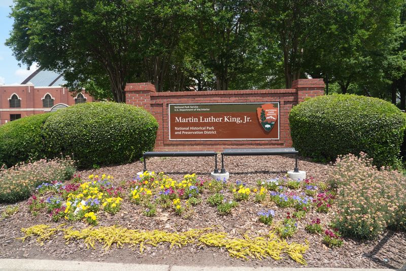 Voices You Can’t Unhear