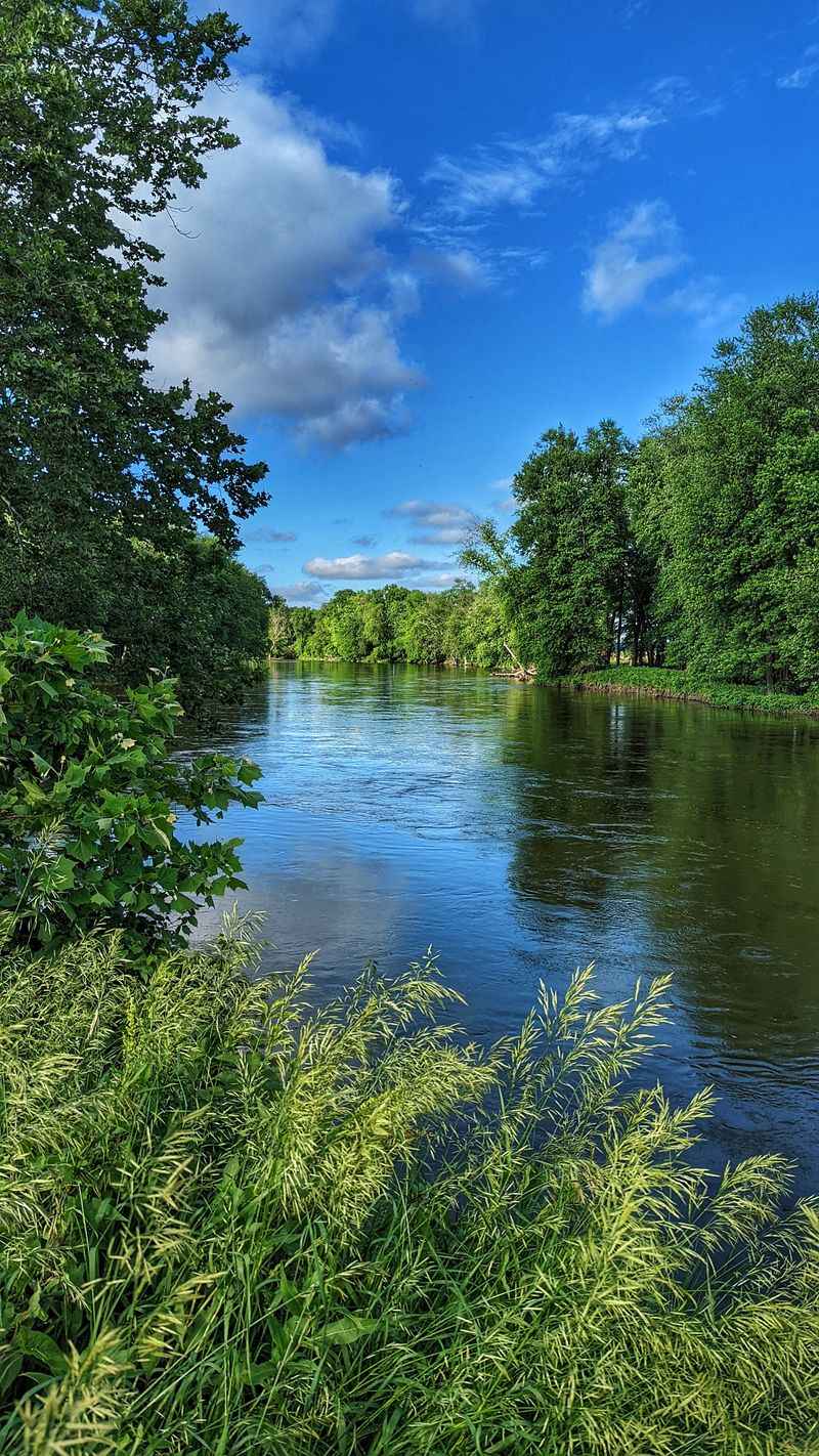 The River Confluence and Wildlife Viewing Opportunities