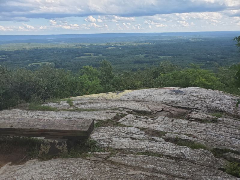 The Wildlife Encounters That Happen When You Least Expect Them