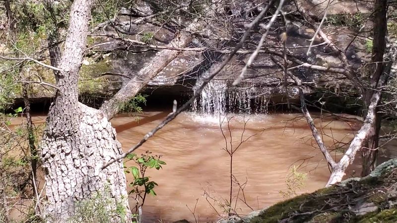 Wildlife Encounters That Will Catch You Off Guard