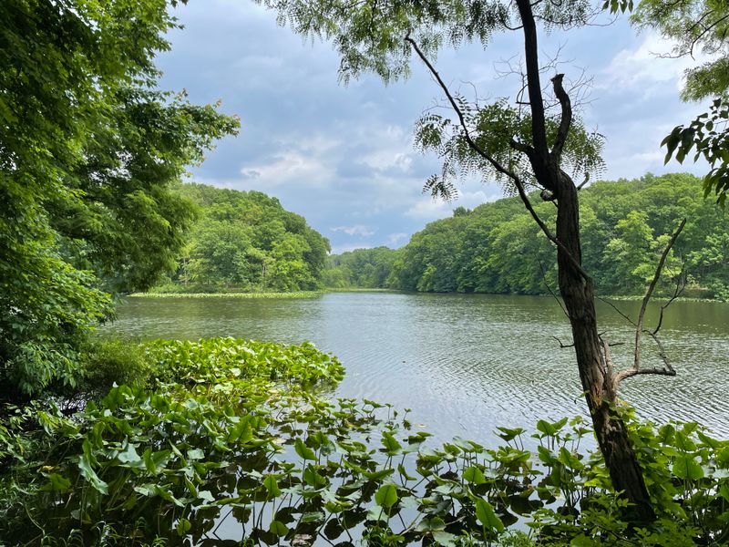Three Beautiful Lakes Perfect for Fishing