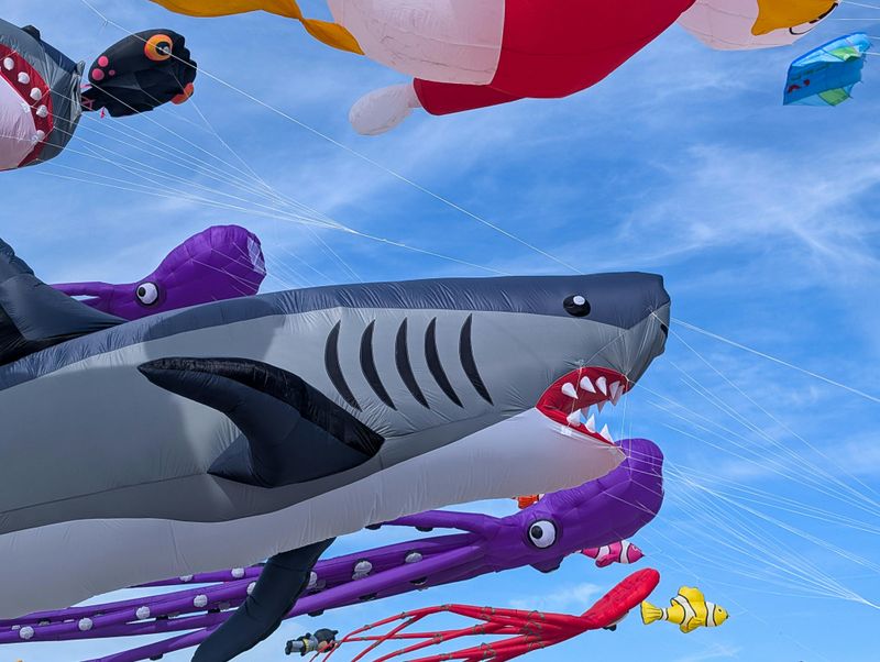 People Travel From Across Indiana Just for This Event