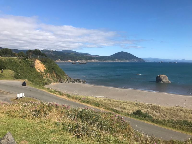 Elk and Wildlife Along the Coast