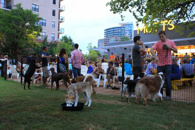 Drinks That Don't Skimp on Quality