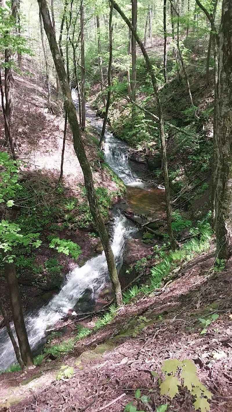 That Waterfall Payoff Is Absolutely Worth It