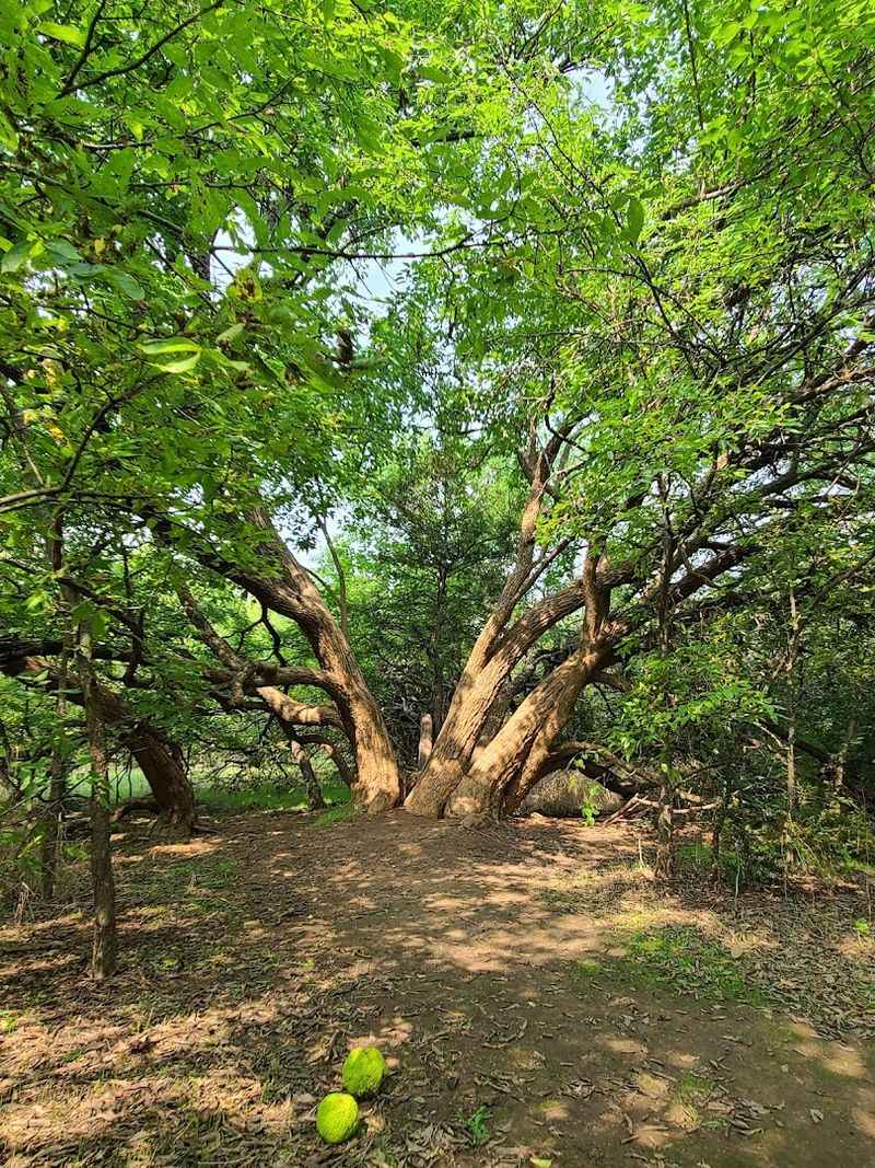 Disc Golf That Sneaks Up On You