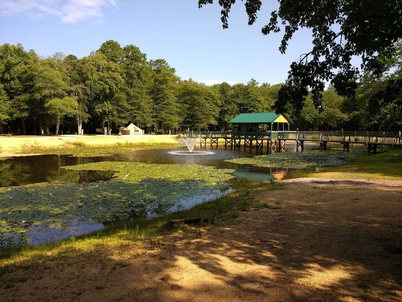 Golf Cart Rentals and Friendly Waves