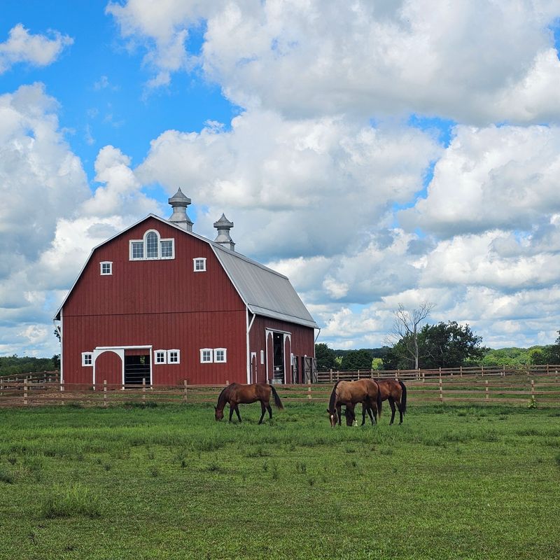 The Historic 1920s Farm Experience