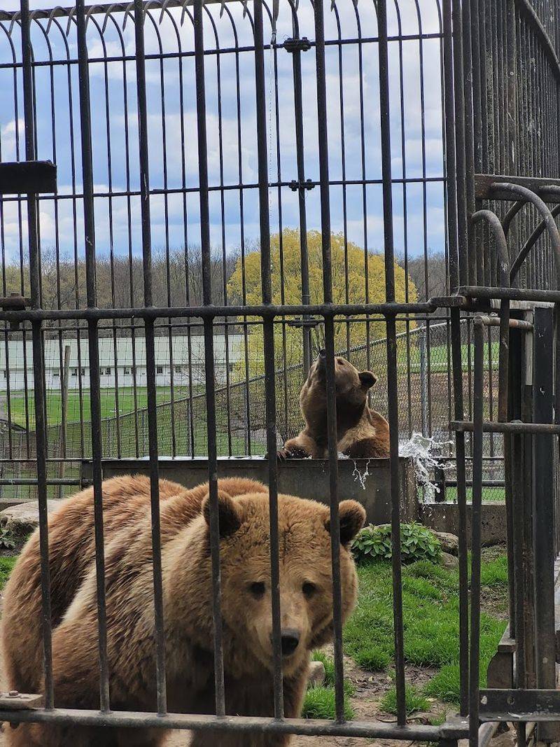 Planning Your Visit: Tips for Getting the Most Out of Space Farms