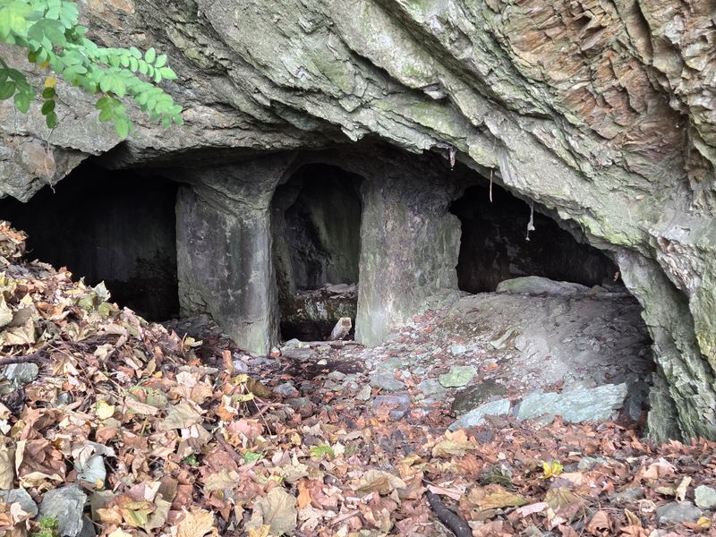 The Spring Water Scam That Fooled Thousands