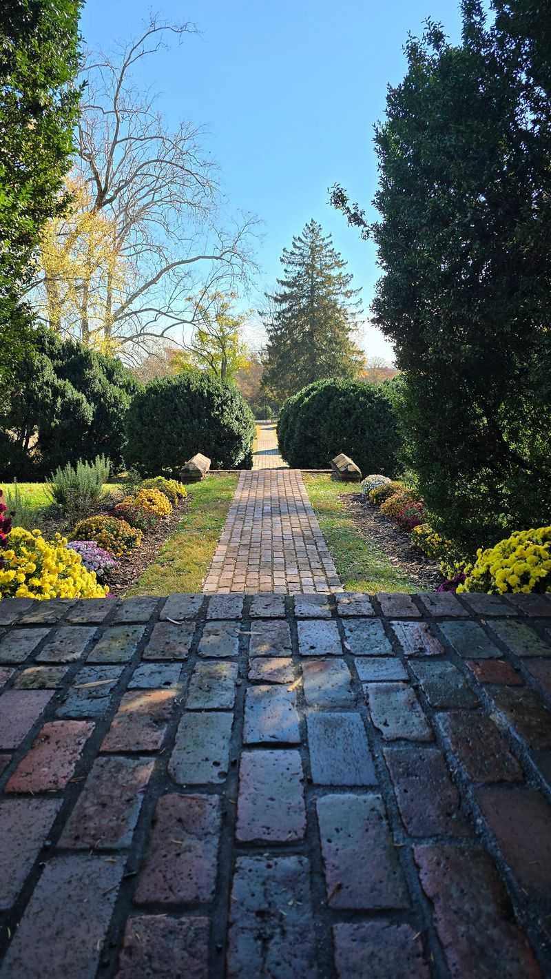 Boxwood Gardens as Status Symbols