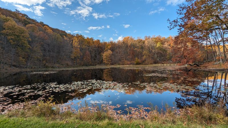 Planning Your Visit to Jenny Jump State Forest