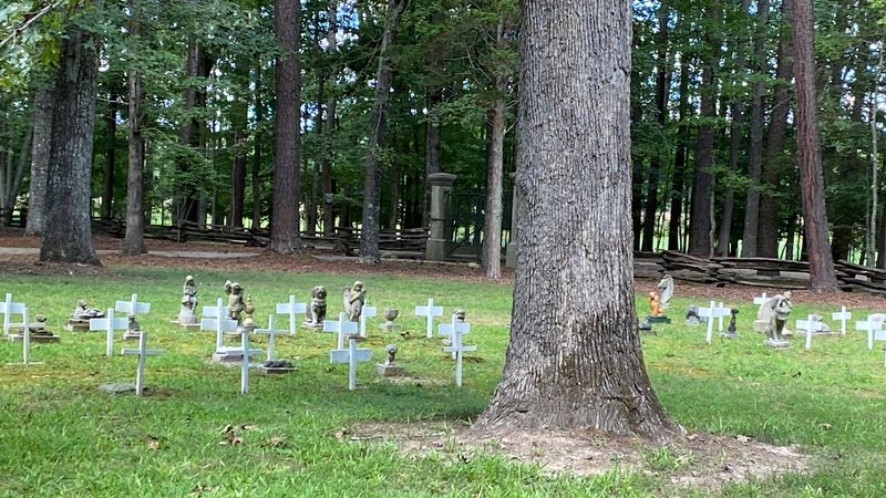 Ancient Trees Form A Cathedral Canopy Over The Grounds