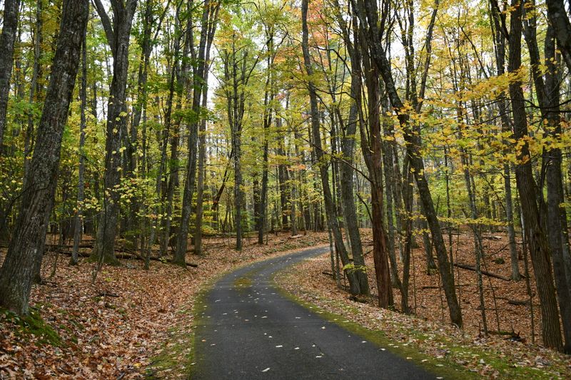 Trails That Let You Pick Your Mood