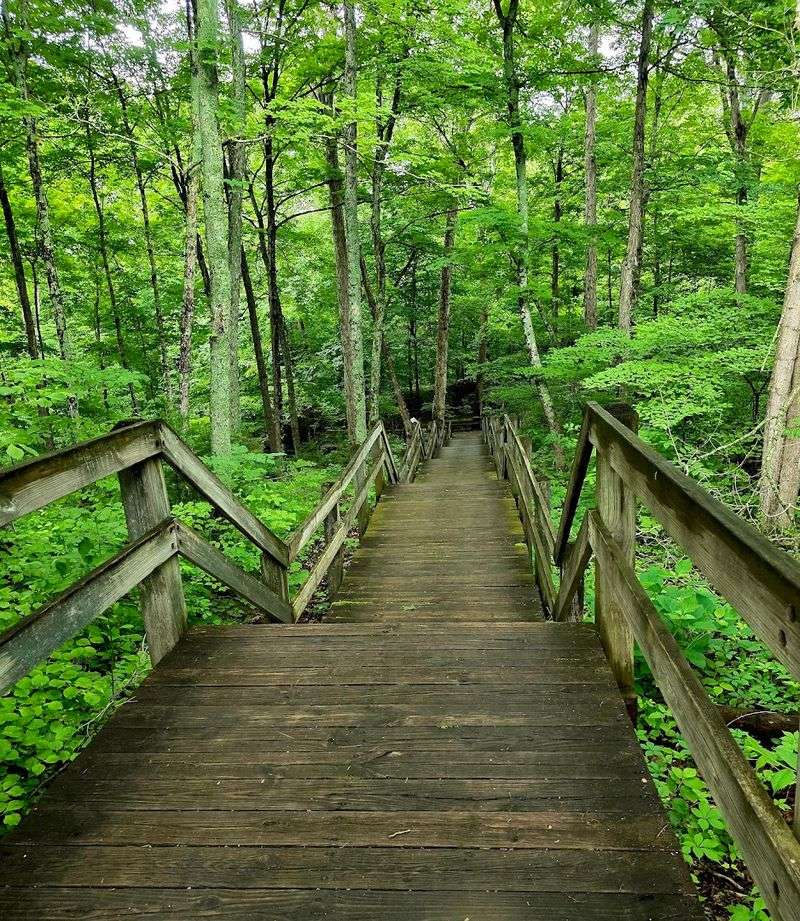 Hiking Trails That Surprise You at Every Bend