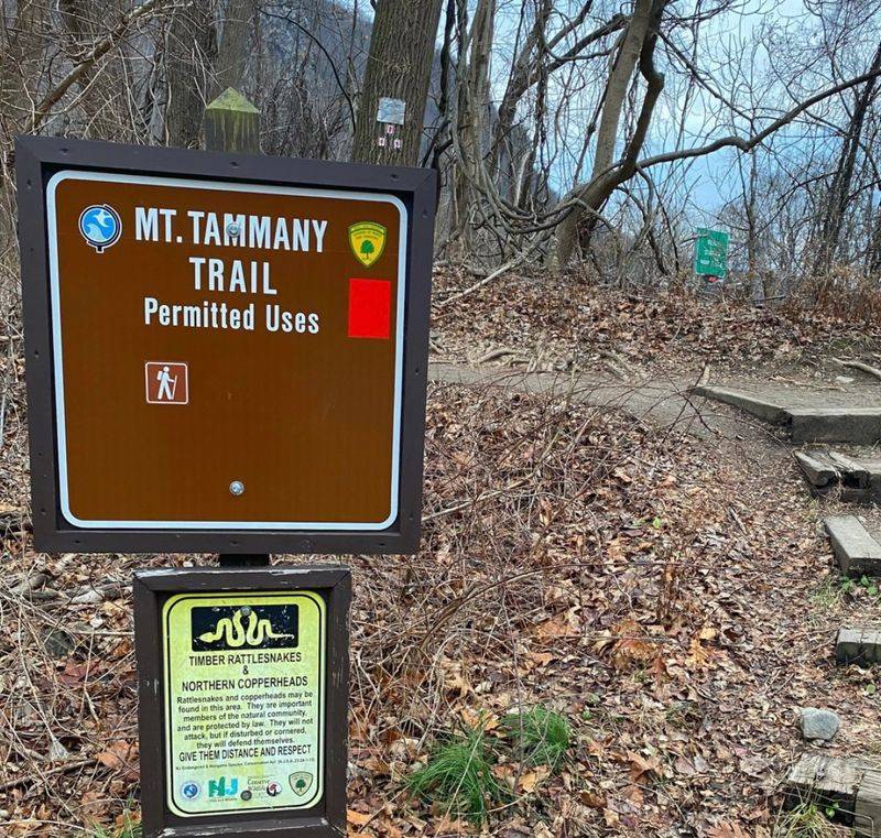 Mount Tammany Fire Road Intersection