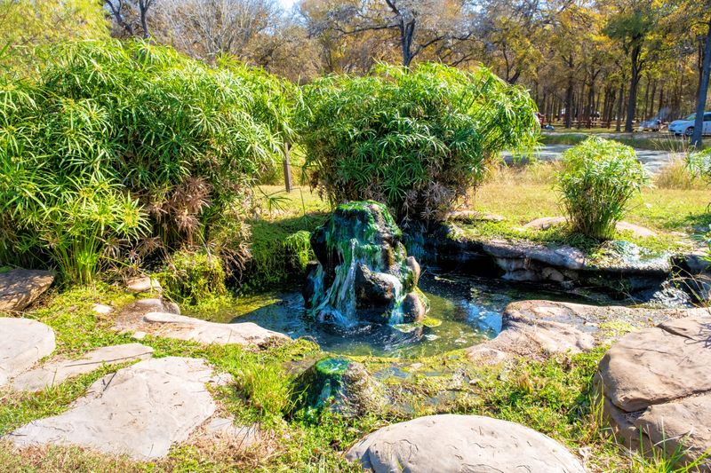 An Artesian Well and a Quiet Pond