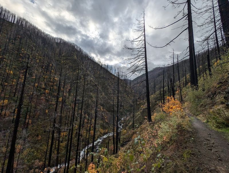 The Eagle Creek Fire and the Road to Recovery