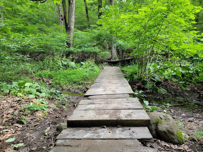 The Steep Ascent Back to Civilization