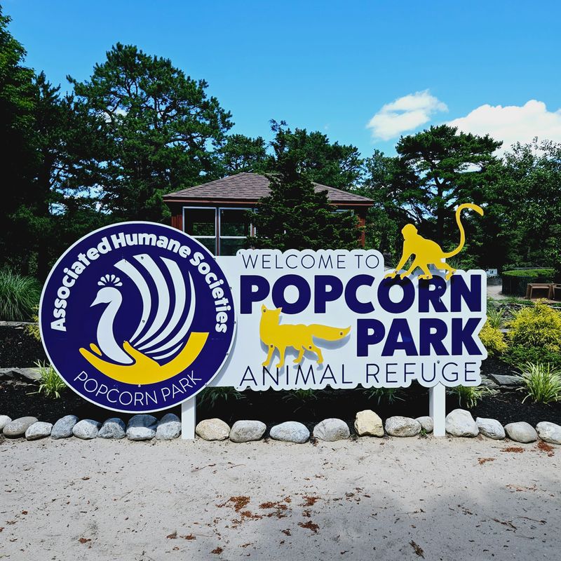 The Perfect Birthday Party Destination That Gives Back