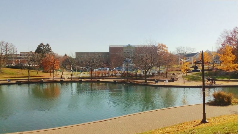 The Cultural Trail and Downtown Arts Scene