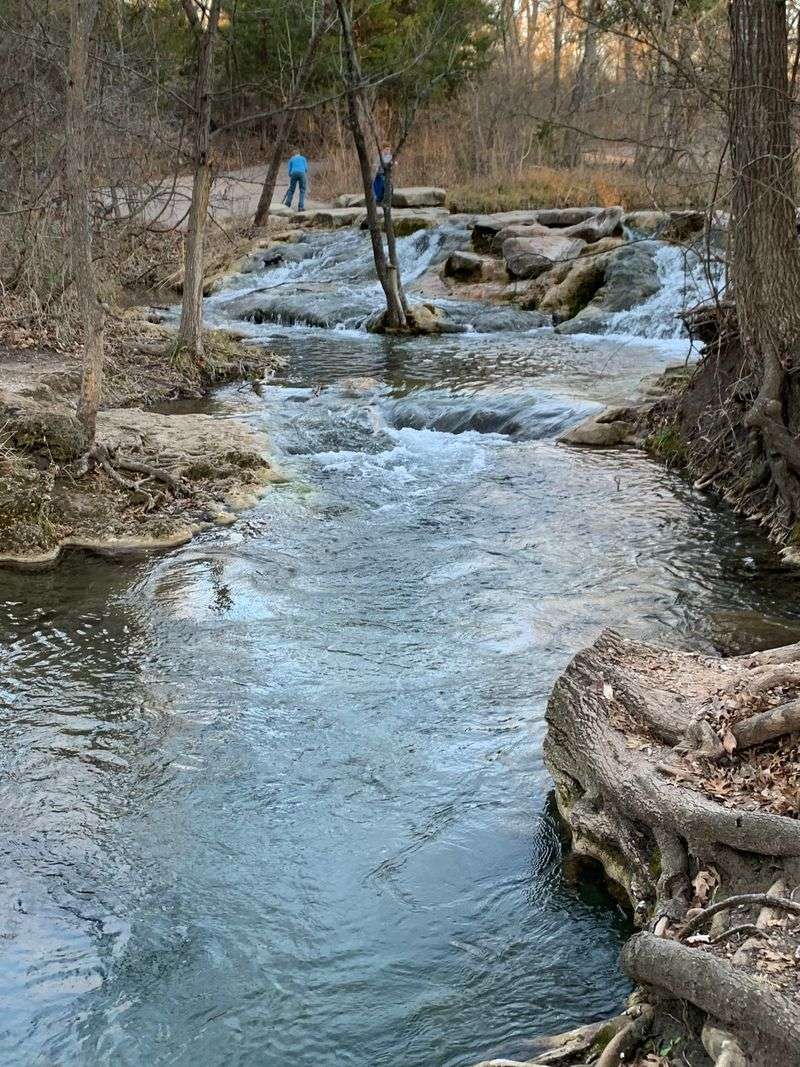 Wildlife Habitat Disruption From Human Activity