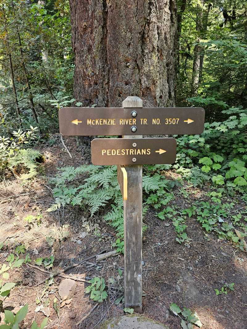 The Parking and Trailhead Situation