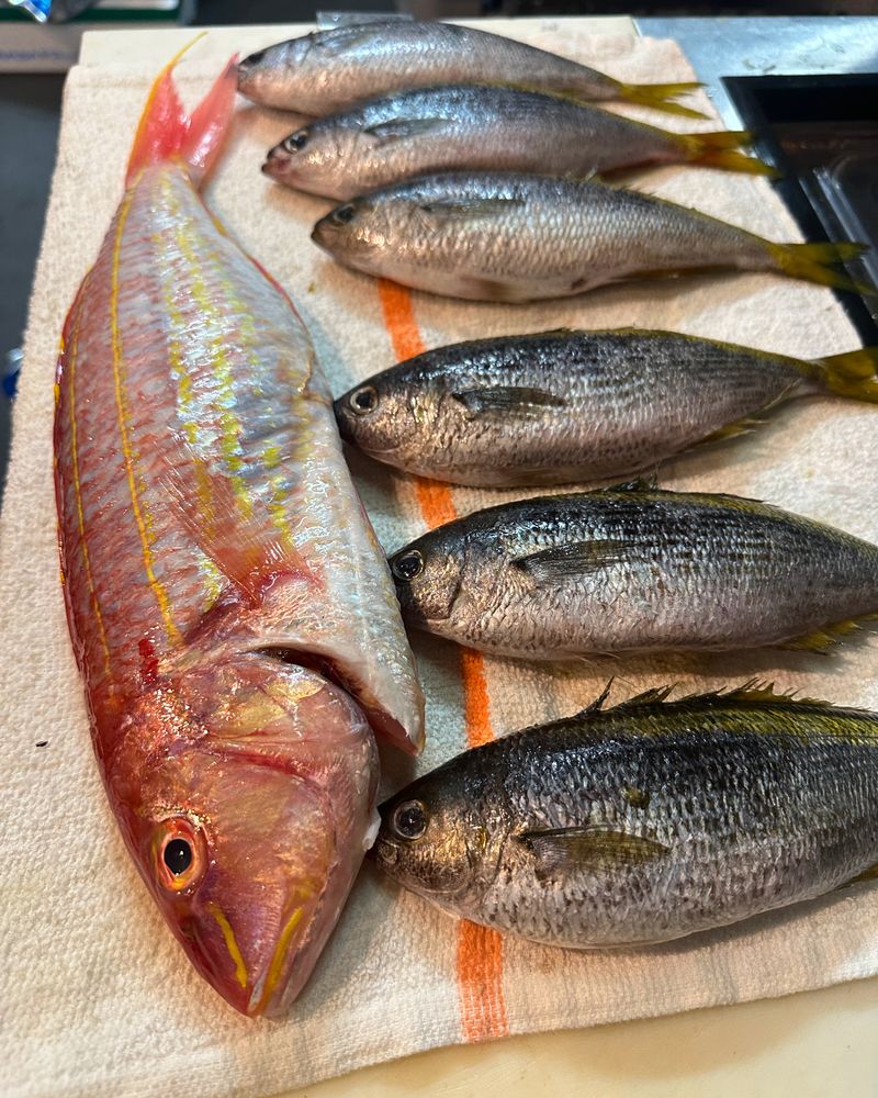 Premium Fish Selection Flown in Fresh